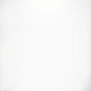 Meet your Posher, Smiley